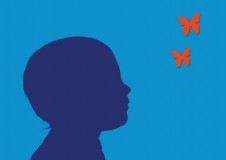 Sur fond uni avec Papillons