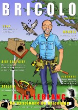 Bricolo