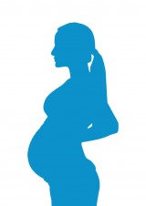 S2-FE couleur_V_Bleu