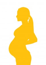 S2-FE couleur_V_Jaune