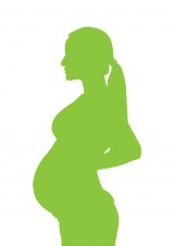 S2-FE couleur_V_Vert