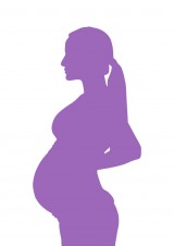 S2-FE couleur_V_Violet