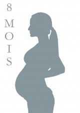 S2-FE couleur_LP_Gris