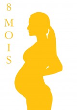 S2-FE couleur_LP_Jaune