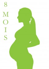 S2-FE couleur_LP_Vert