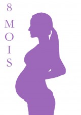 S2-FE couleur_LP_Violet